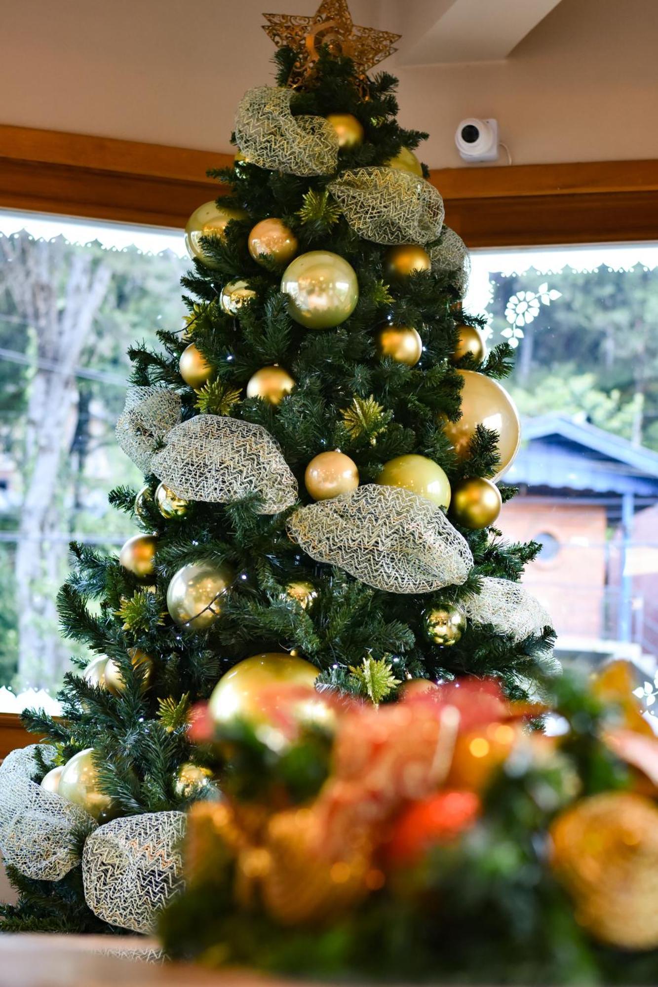 Pousada Boro Gramado Exteriér fotografie
